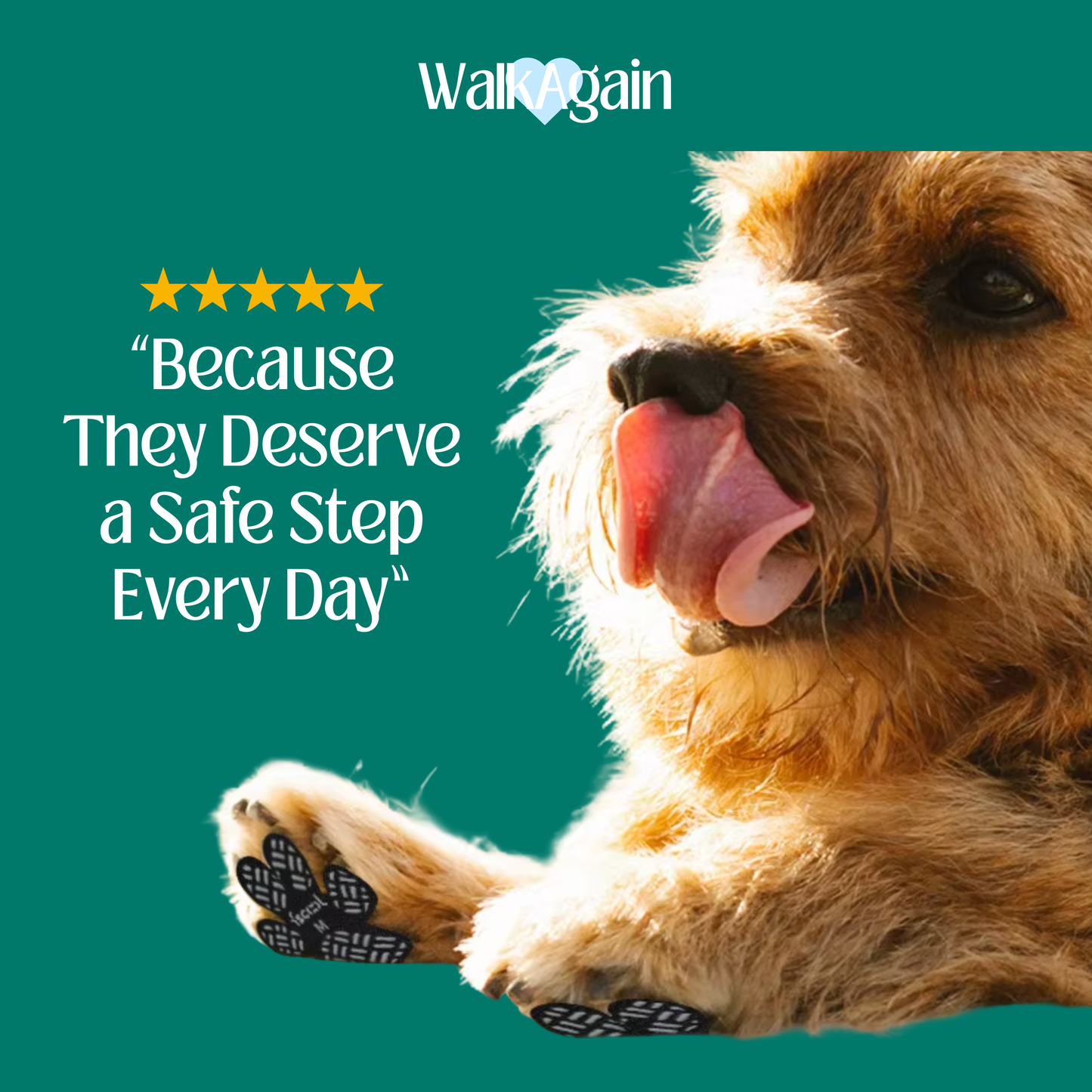 WalkAgain™ Senior Dog Stability Aids