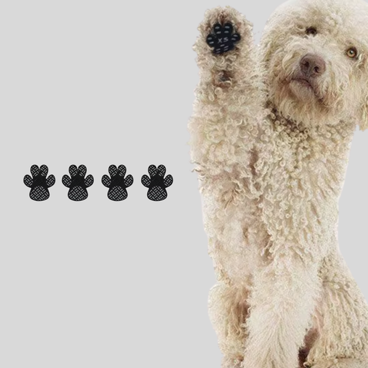 WalkAgain™ Senior Dog Stability Aids