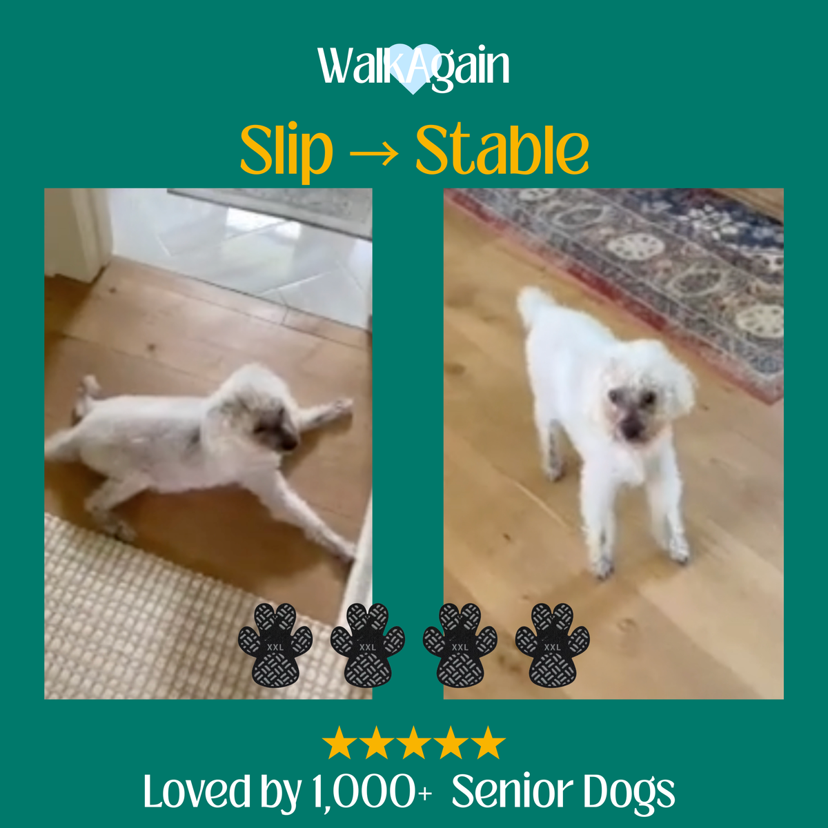 WalkAgain™ Senior Dog Stability Aids