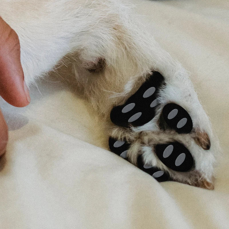 WalkAgain™ Senior Dog Stability Aids