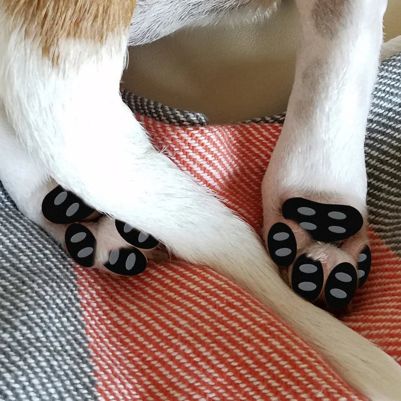 WalkAgain™ Senior Dog Stability Aids