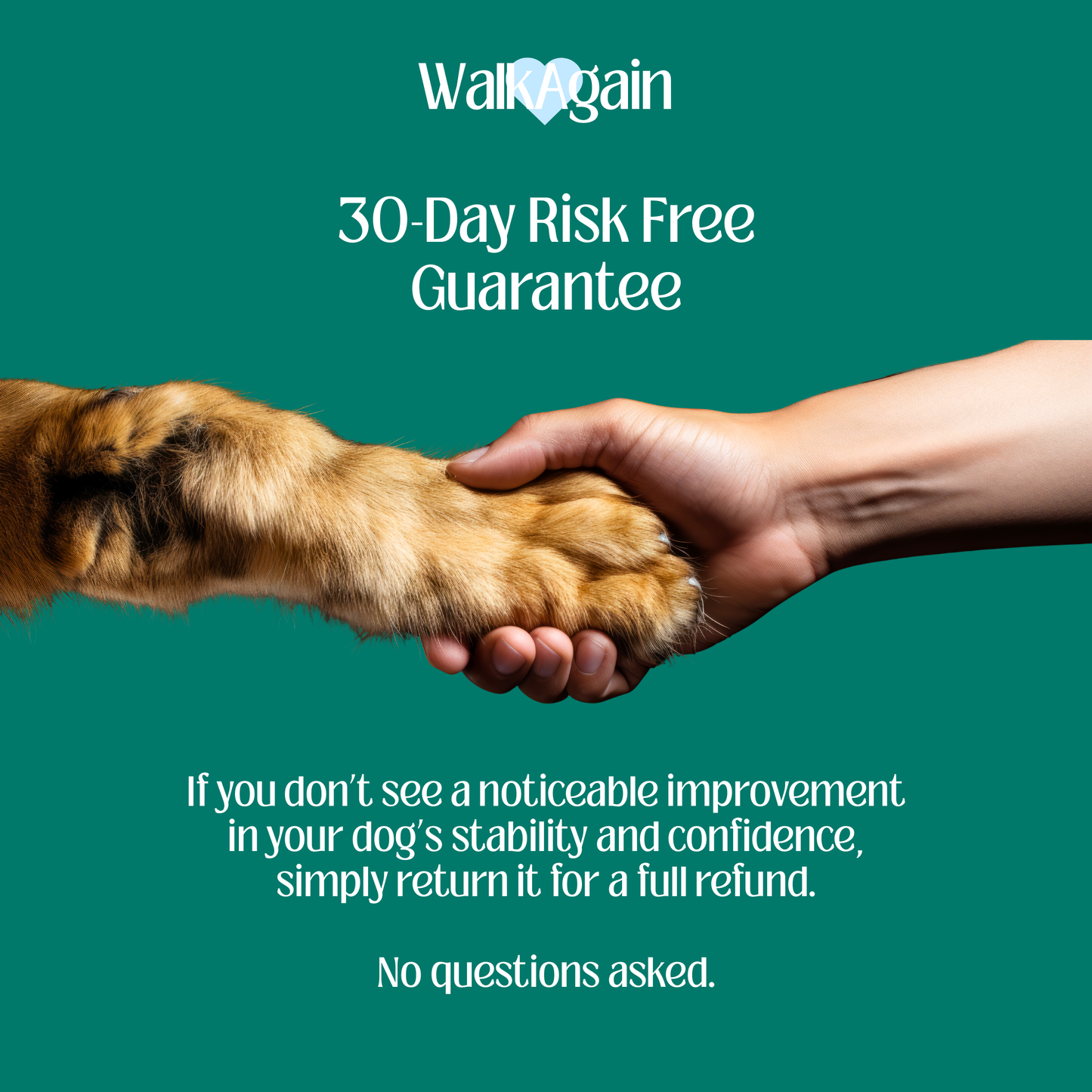 WalkAgain™ Senior Dog Stability Aids