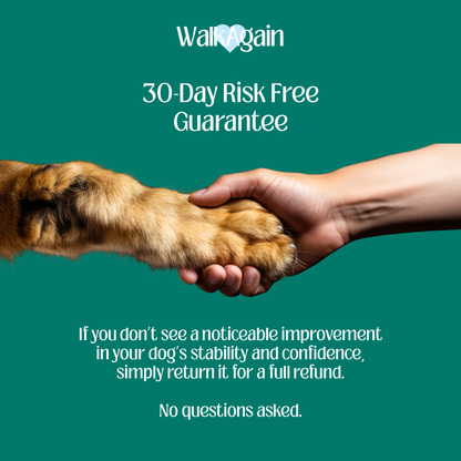 WalkAgain™ Senior Dog Stability Aids
