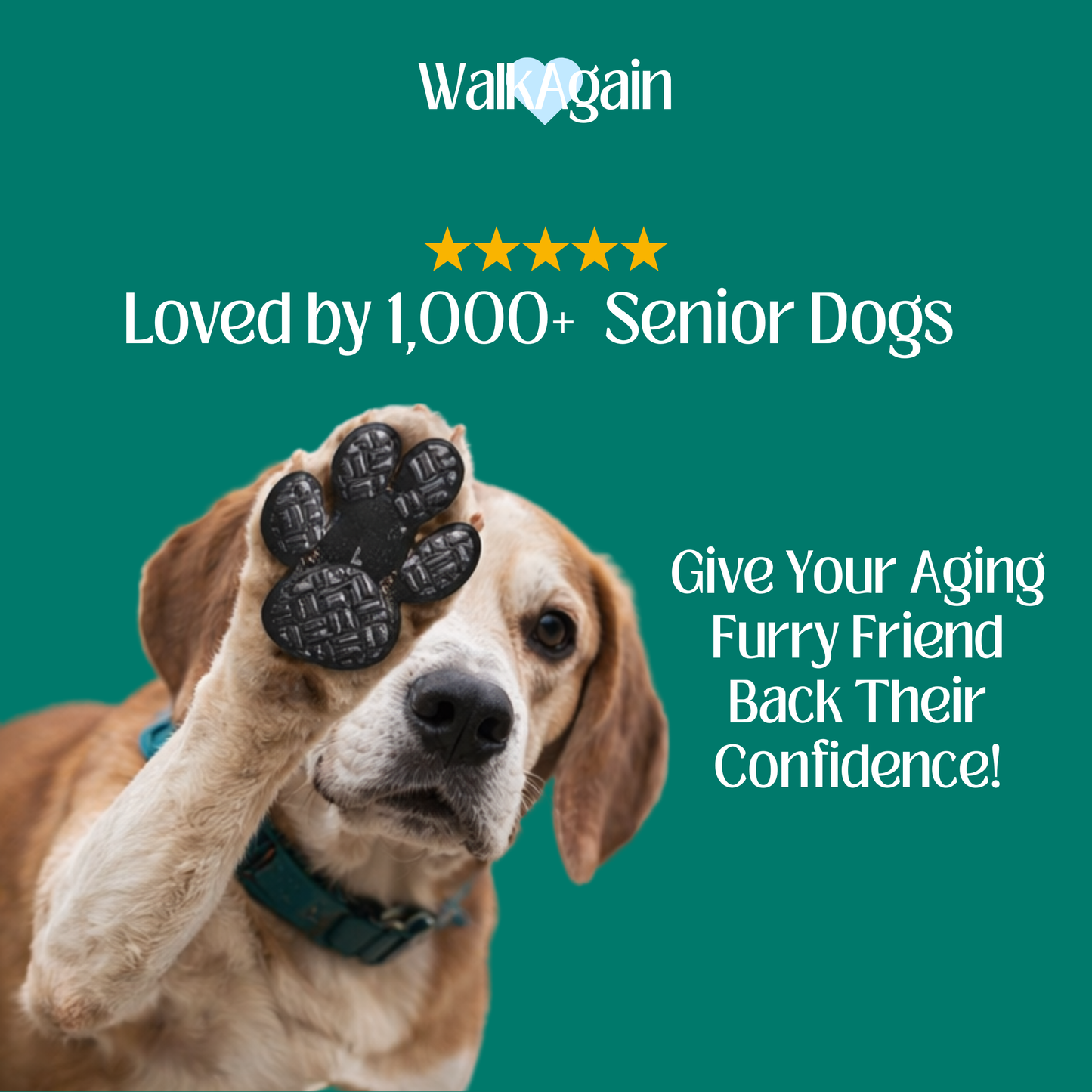 WalkAgain™ Senior Dog Stability Aids